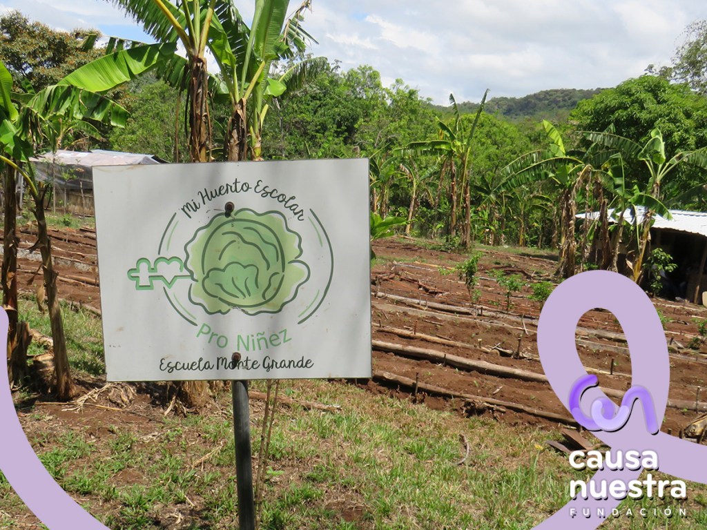 Visita a «Mi huerto&nbsp;escolar»