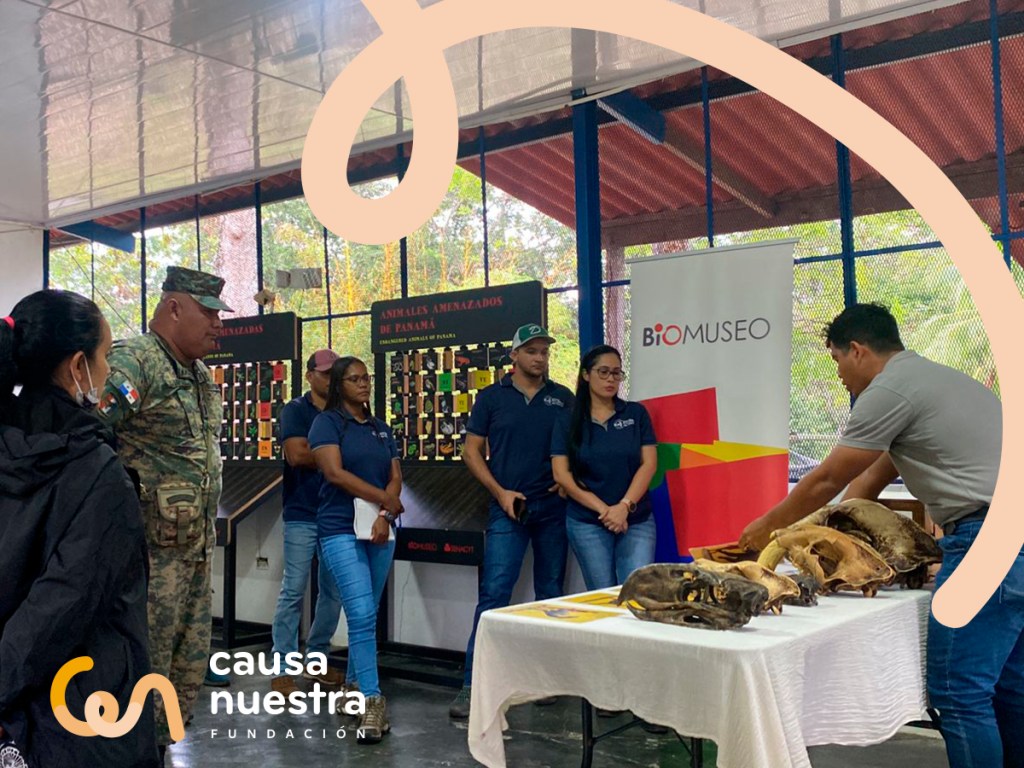 Exhibición de Extinción –&nbsp;BioMuseo